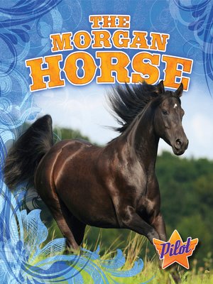 cover image of The Morgan Horse